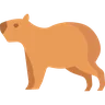 Capybara